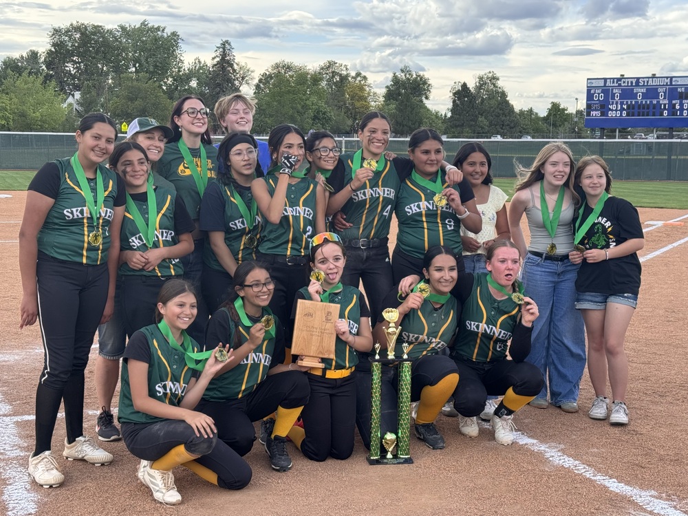 dsoftball