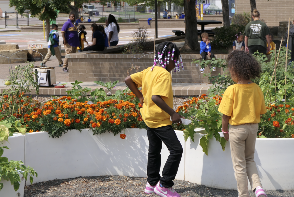 kids in garden
