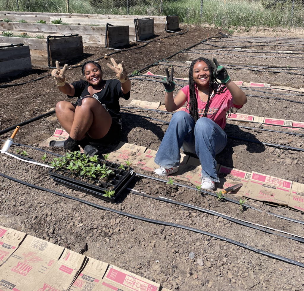 Service Learning