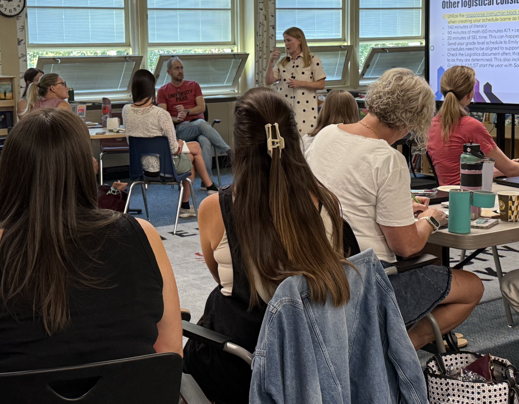 Teachers in professional development