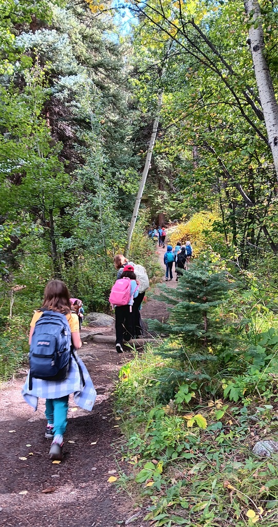 Kids hiking through the forest