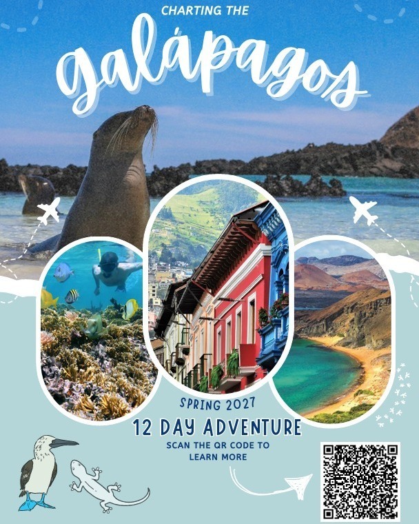 Trip flyer
