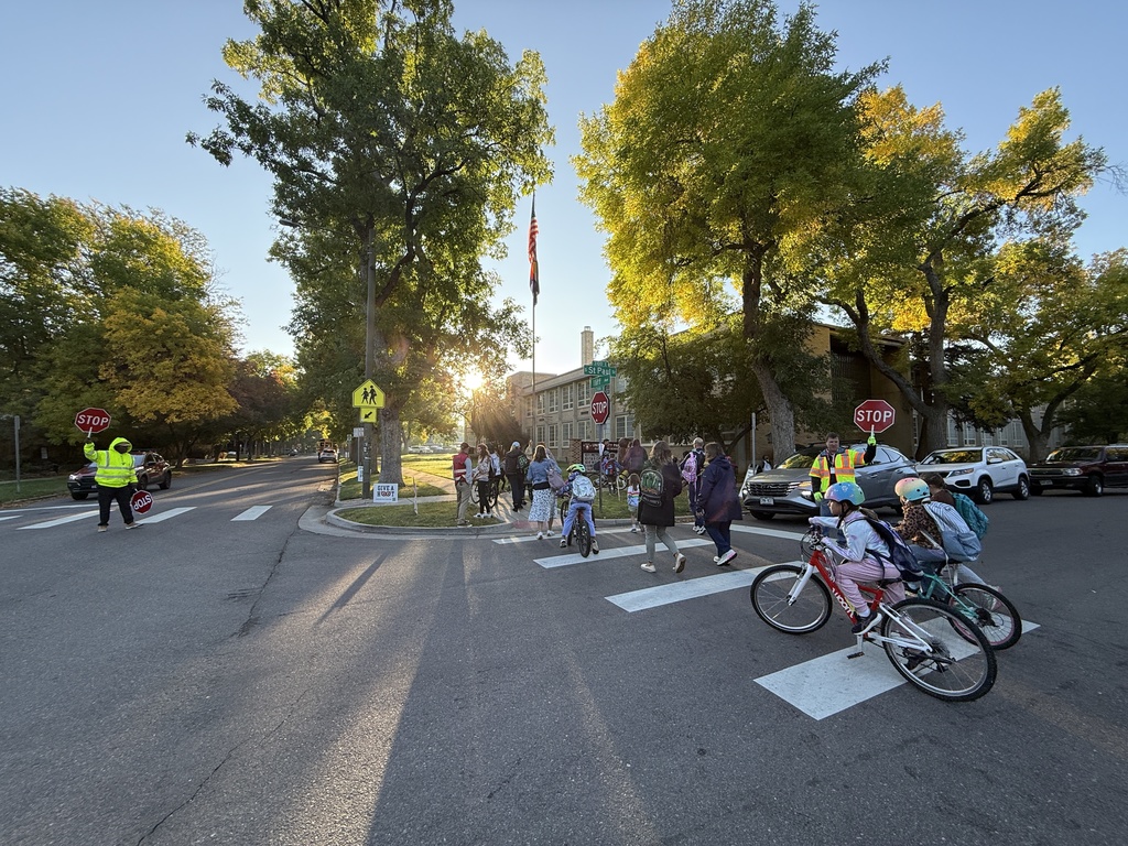 Children in the crosswalk on their way to school