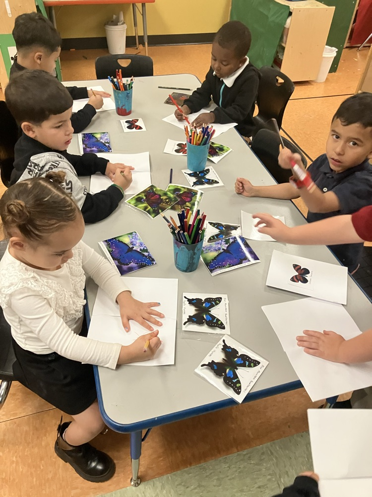 class 107 drawing their butterfly