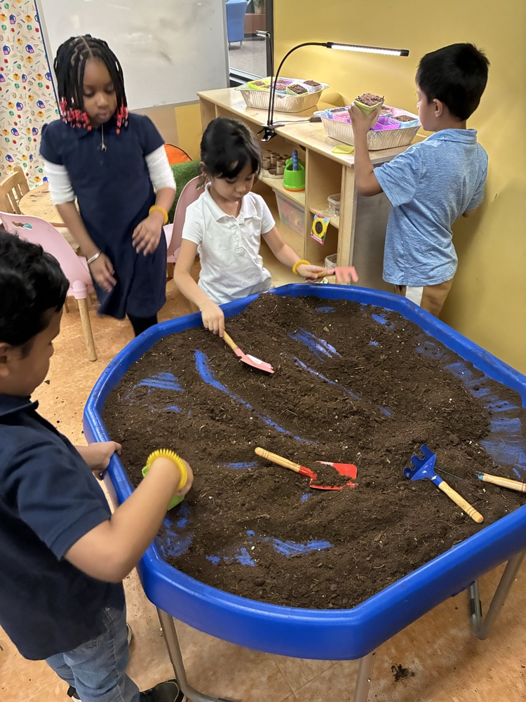 planting seeds in the sensory table