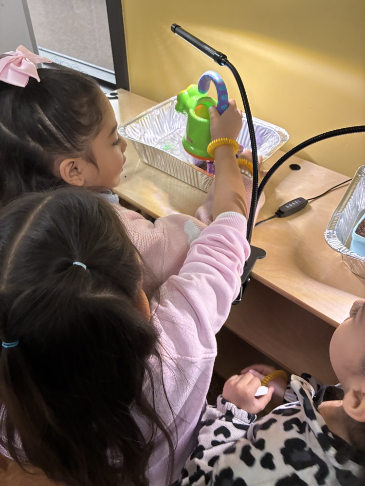 taking care of our growing plants