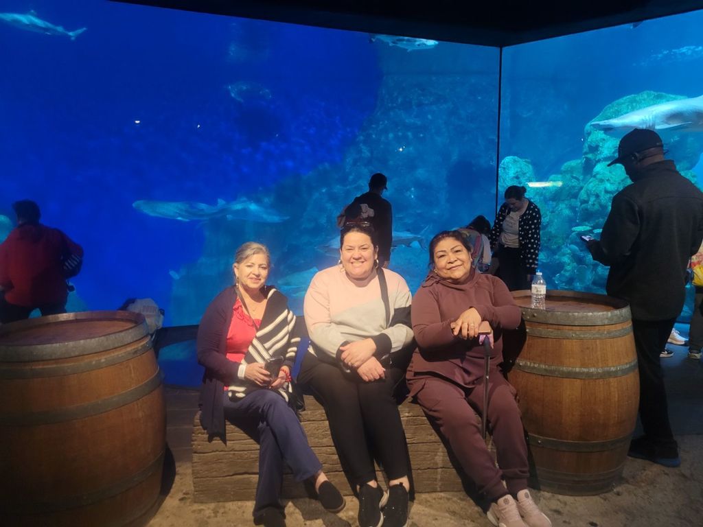 Parents at the Aquarium 2026