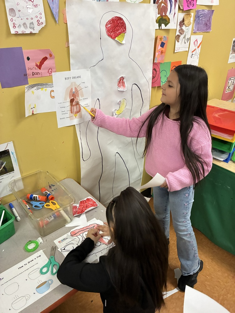 In the drawing and group project center student colored, cut, and glued organs onto outlines of their bodies 