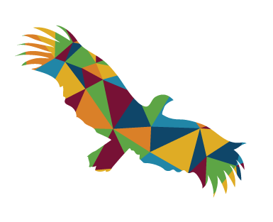 Hallett hawk logo
