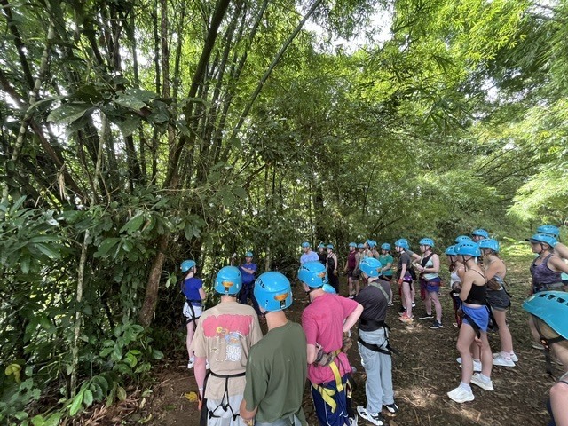 jungle