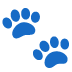 paws