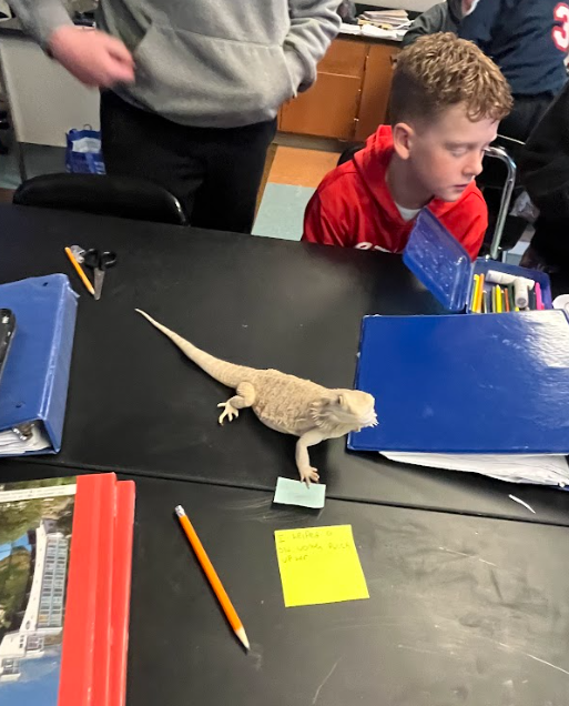 Students participate in WEB Wednesday activities.