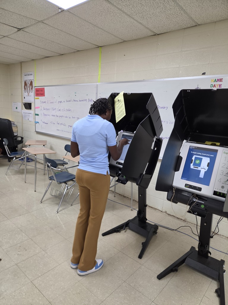 Voting 3