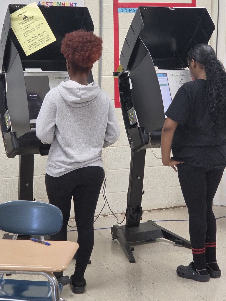 Voting 7