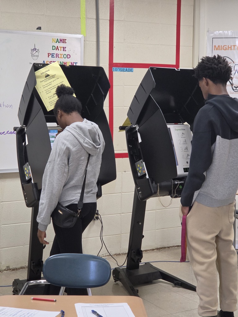 Voting 3