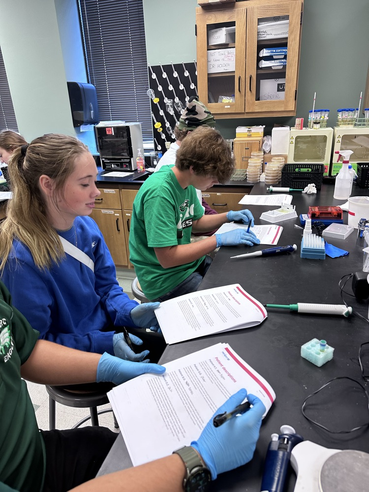 lab