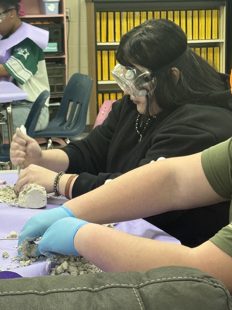 Fossil Dig! 8th Period 