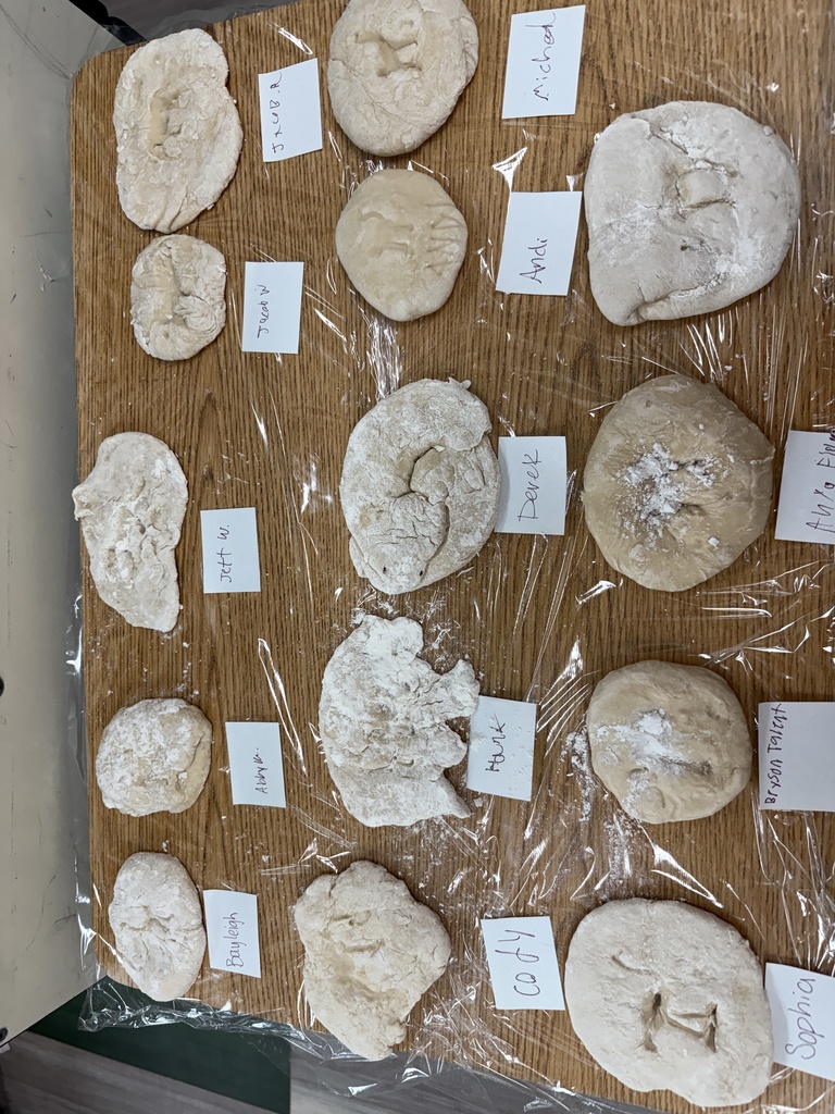 2nd Period's Fossil Imprints