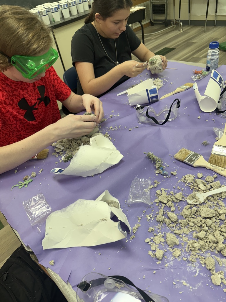 Fossil Dig! 1st Period