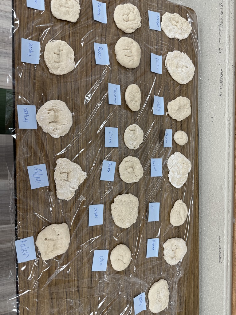 8th period's fossil imprints 