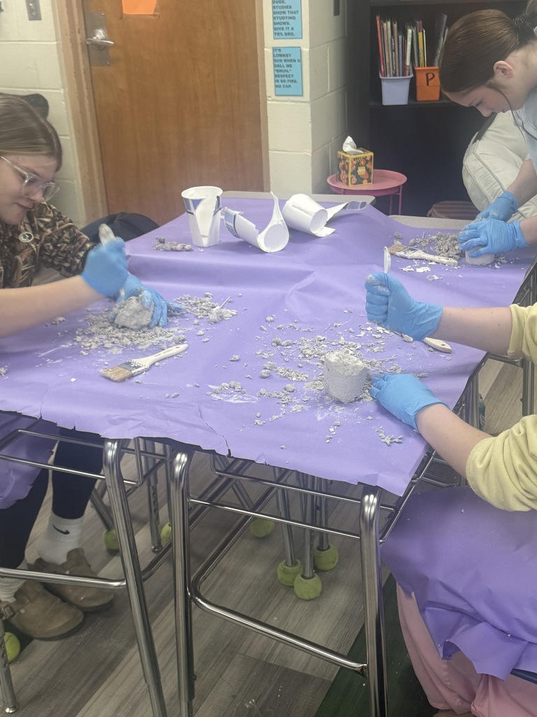 Fossil Dig! 2nd Period