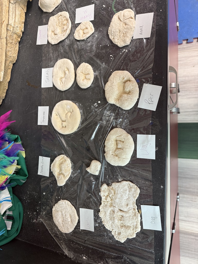 1st Period's Fossil Imprints
