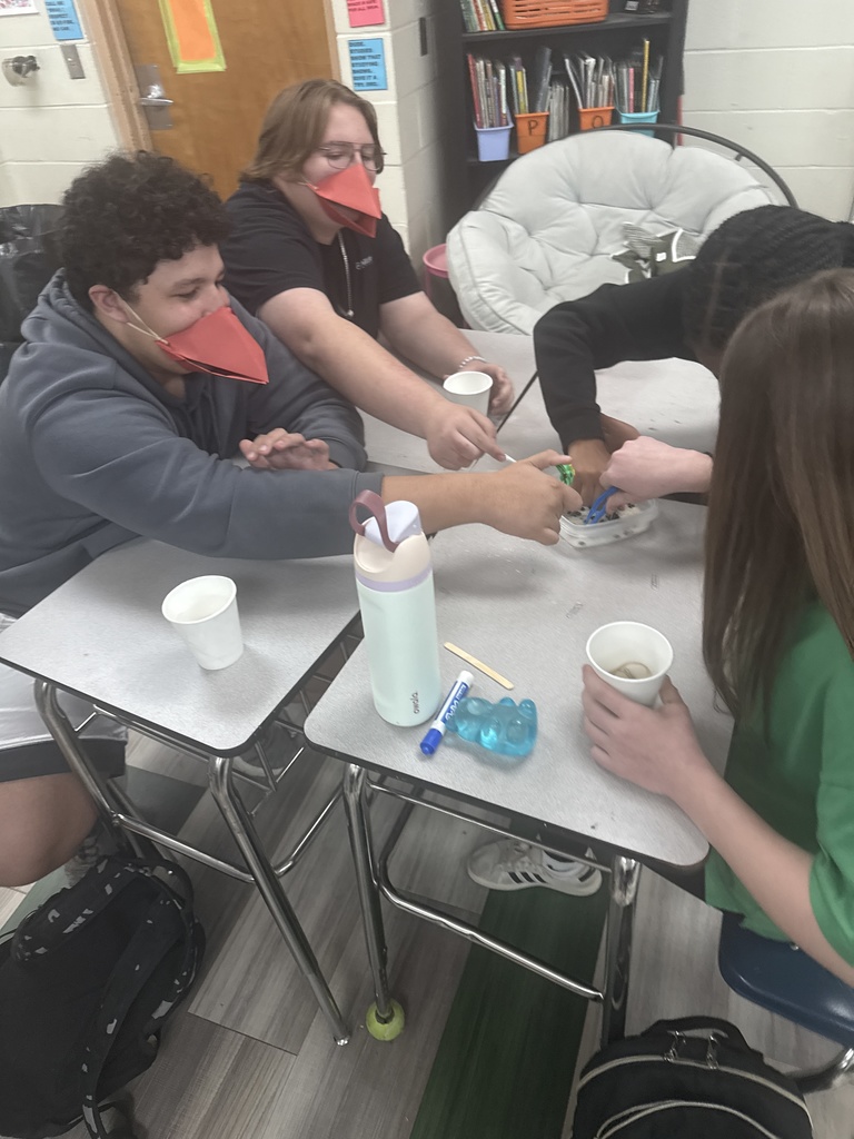 Battle of the Beaks!