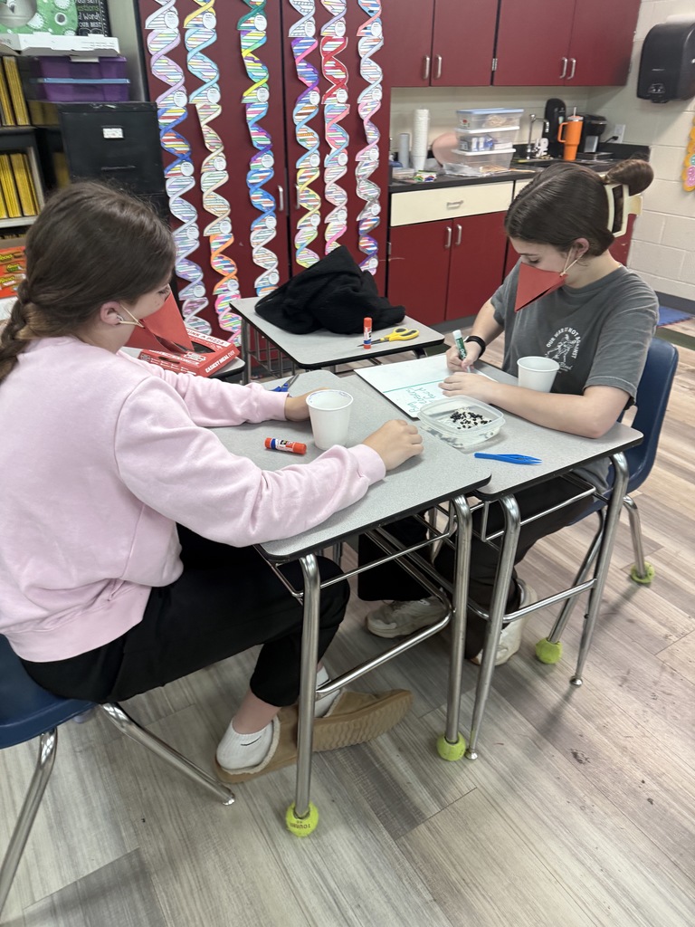 Battle of the Beaks!