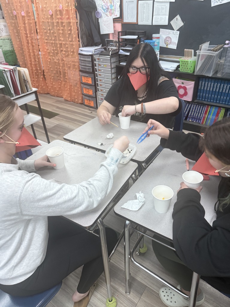 Battle of the Beaks!