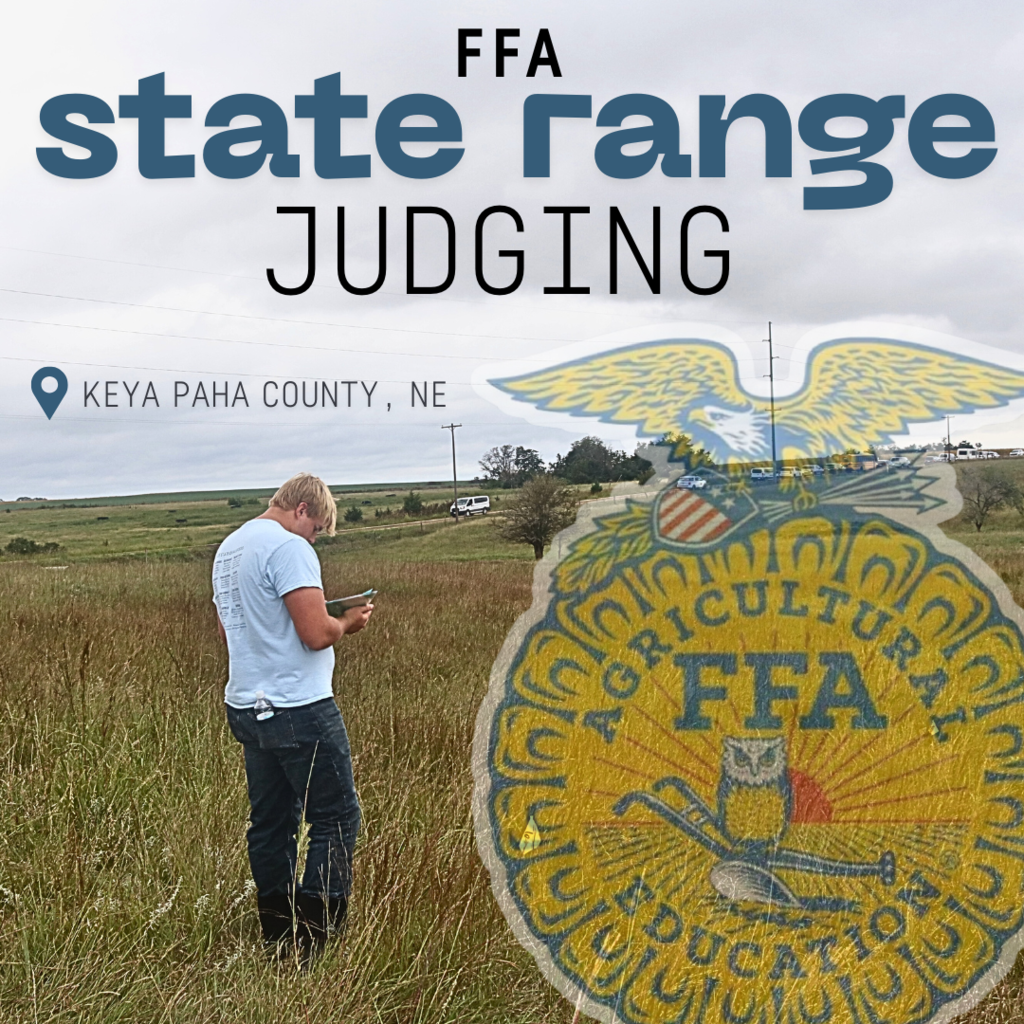 FFA