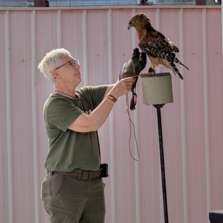 eagle