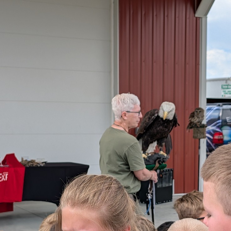 eagle2
