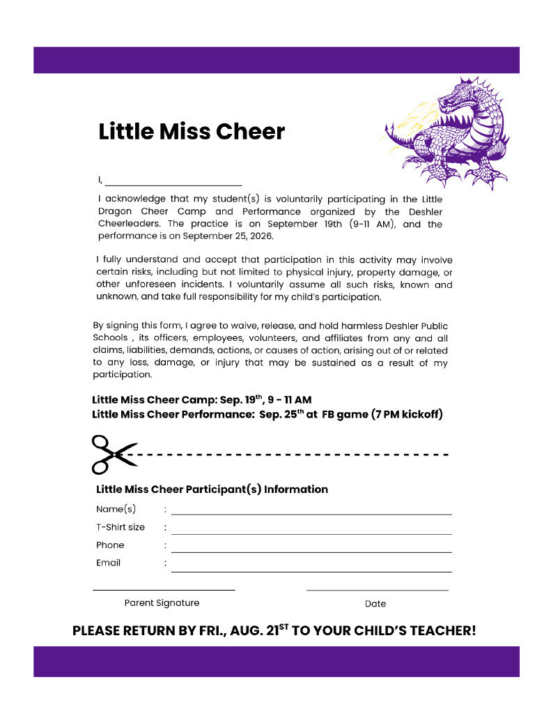 LITTLE MISS CHEER