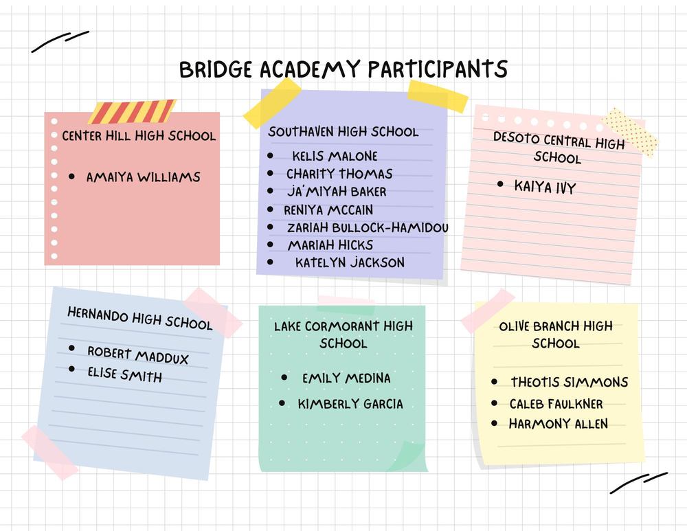Bridge Academy Participants