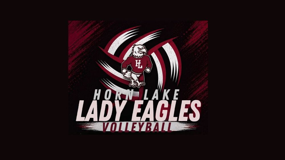 HLMS Lady Eagles Volleyball