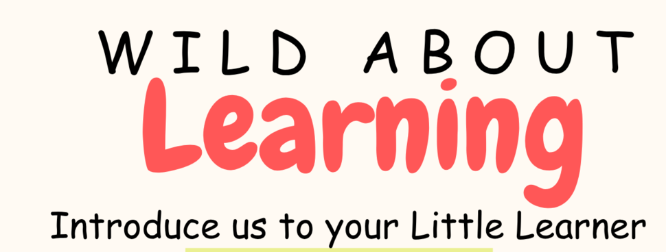 Kindergarten Questionaire