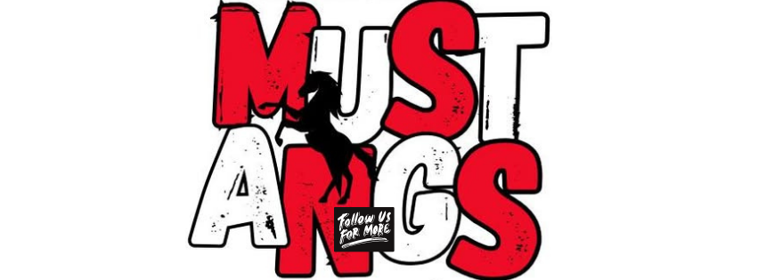 CHES Facebook logo image