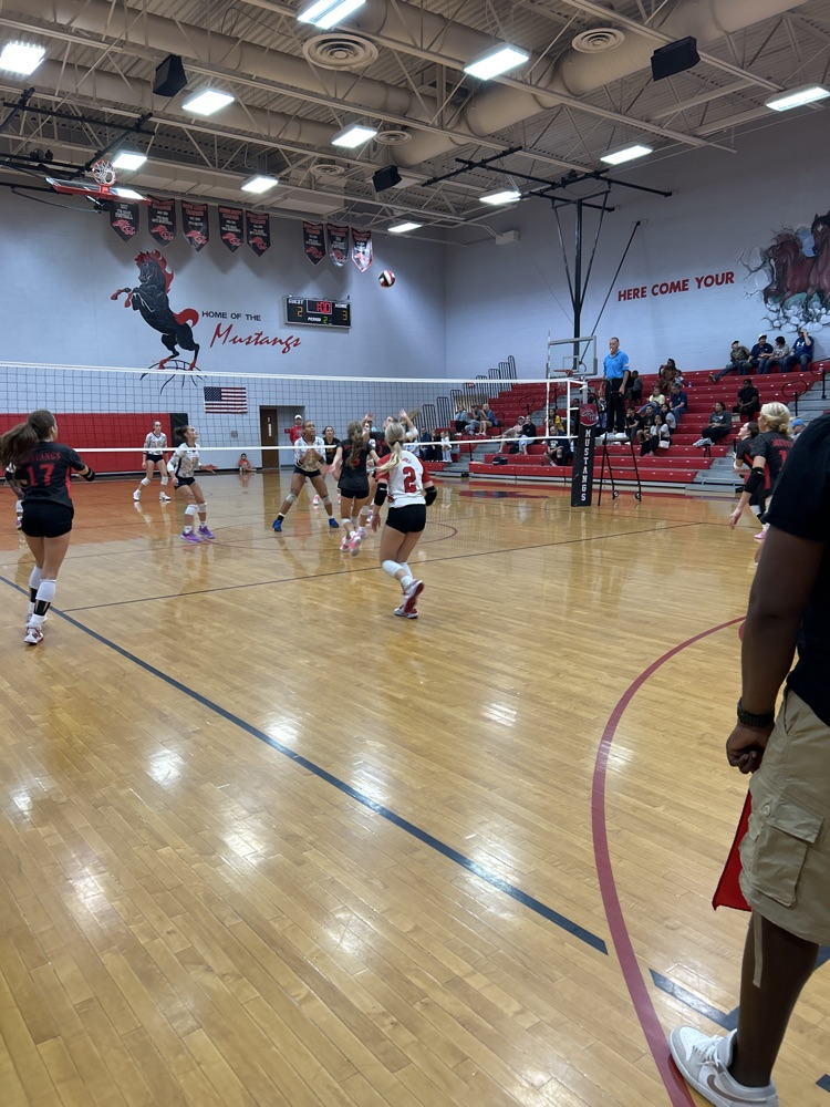 vball vs OB