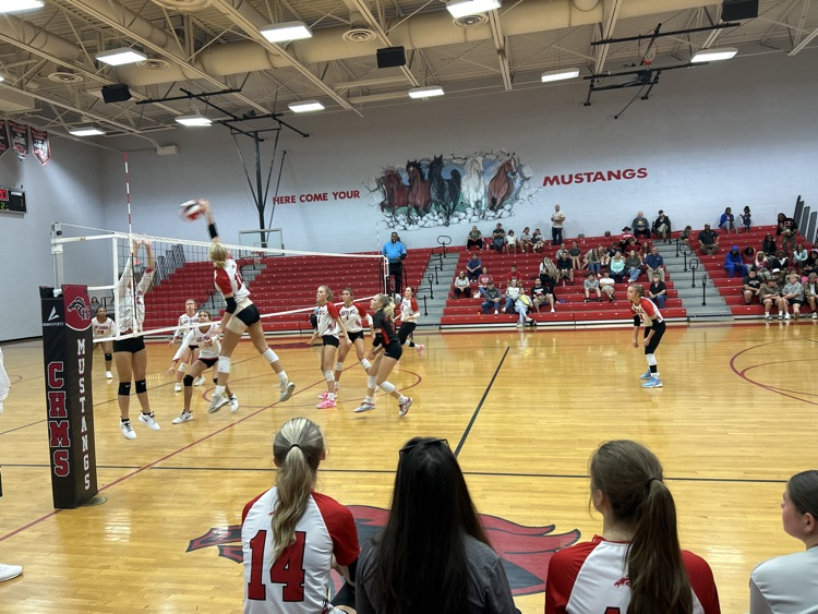 vball vs Grenada