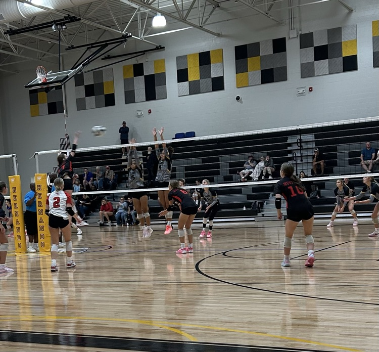 vball-dc tourney