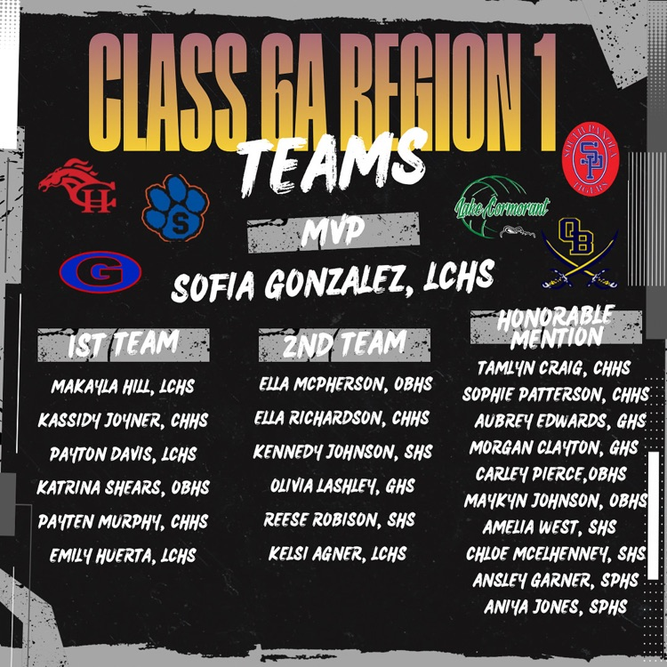 all region vball team