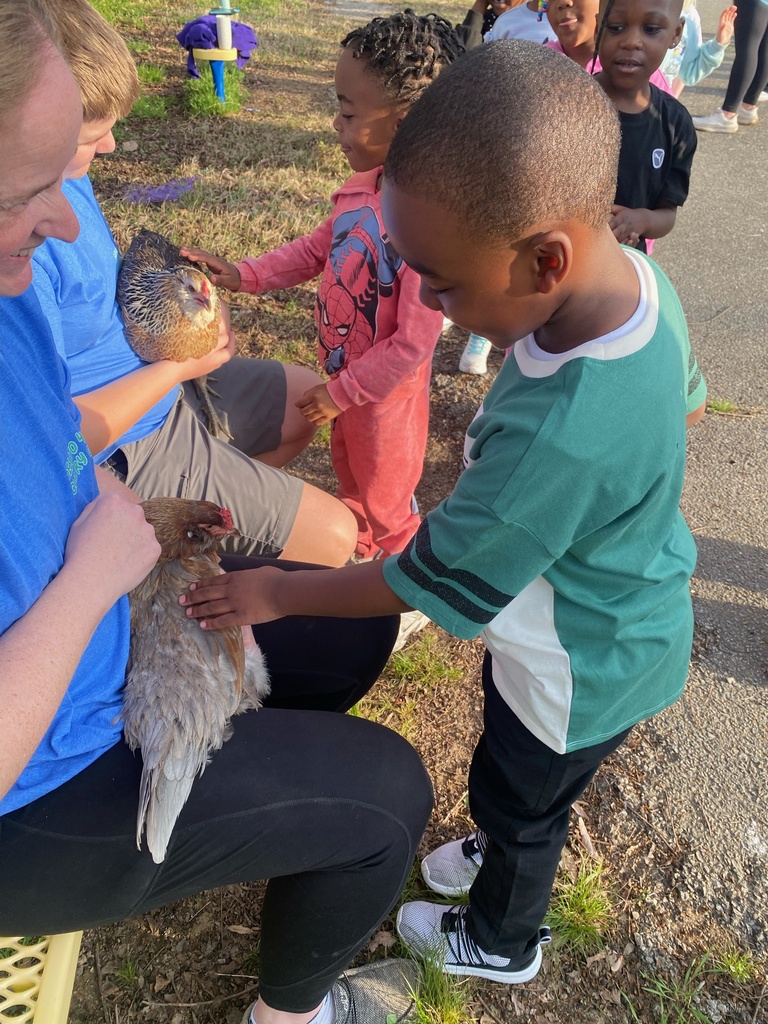 The Hatchery Program