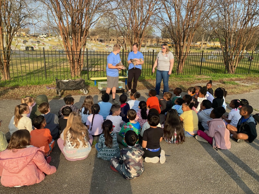 The Hatchery Program