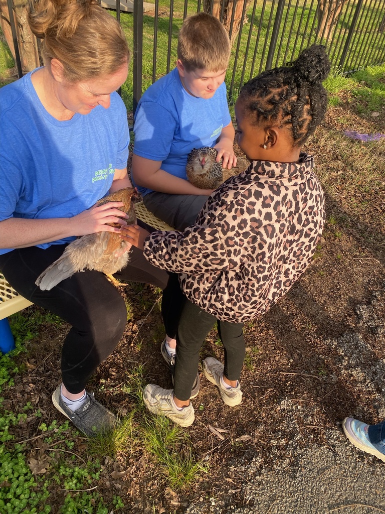 The Hatchery Program