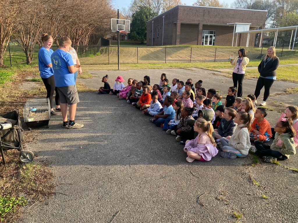 The Hatchery Program