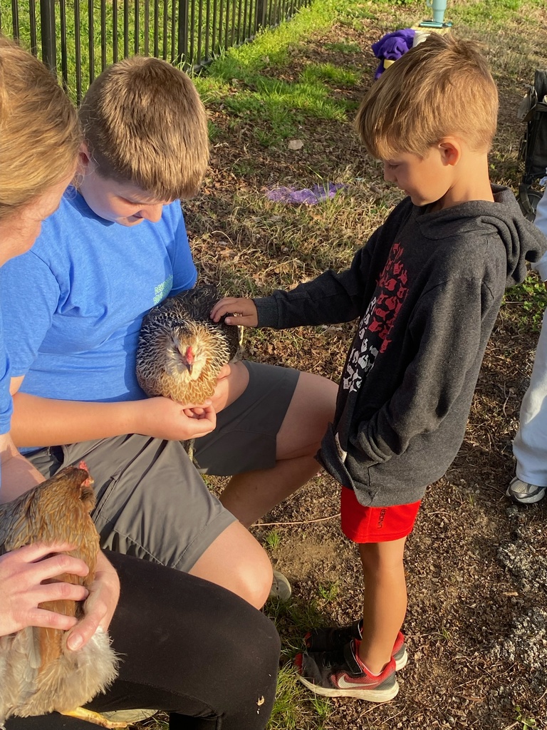 The Hatchery Program