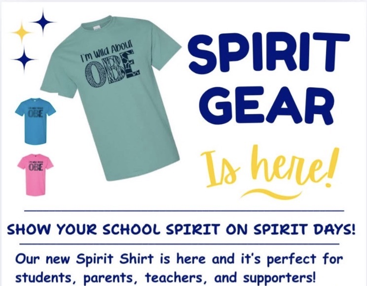 Spirit Day tee shirt 