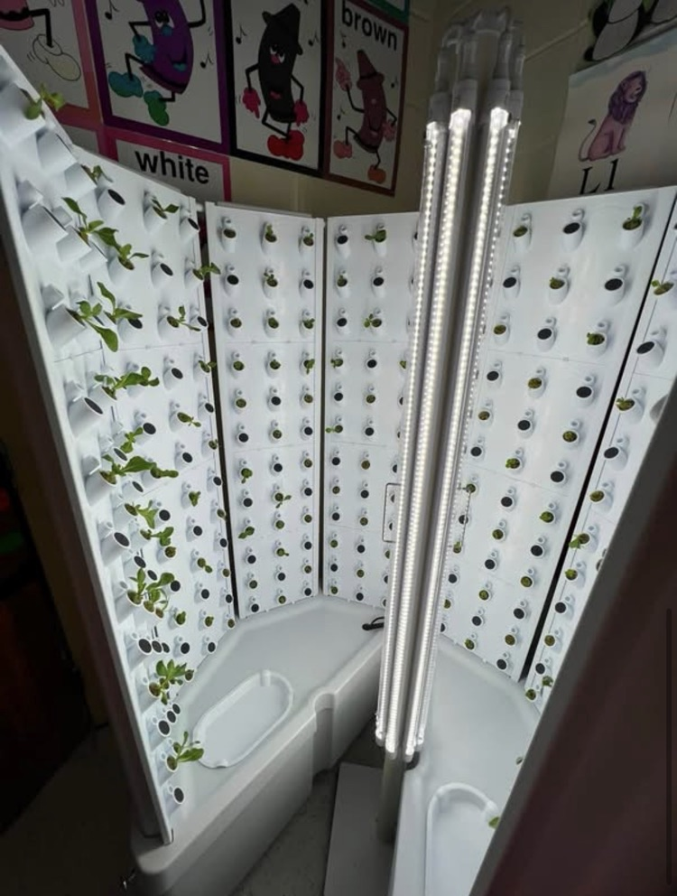 Flex Farm