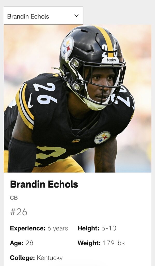 Brandin Echols Player Profile for Steelers
