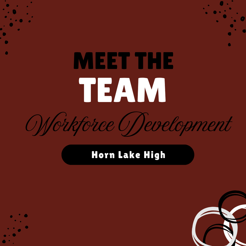 Meet the HLHS Team